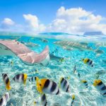 Bora-Bora-iStock-shalamov (1)
