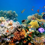 Israel-iStock-vlad61