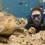 Koh-Tao-Justin-Lewis