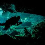 Mexico-iStock-Hoatzinexp