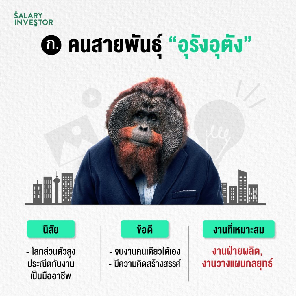 My Image 4